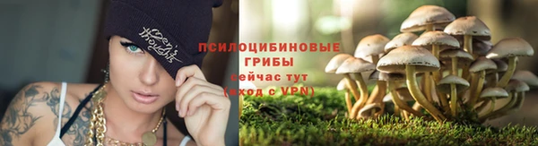 прущая мука Беломорск